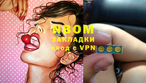 ECSTASY Пересвет